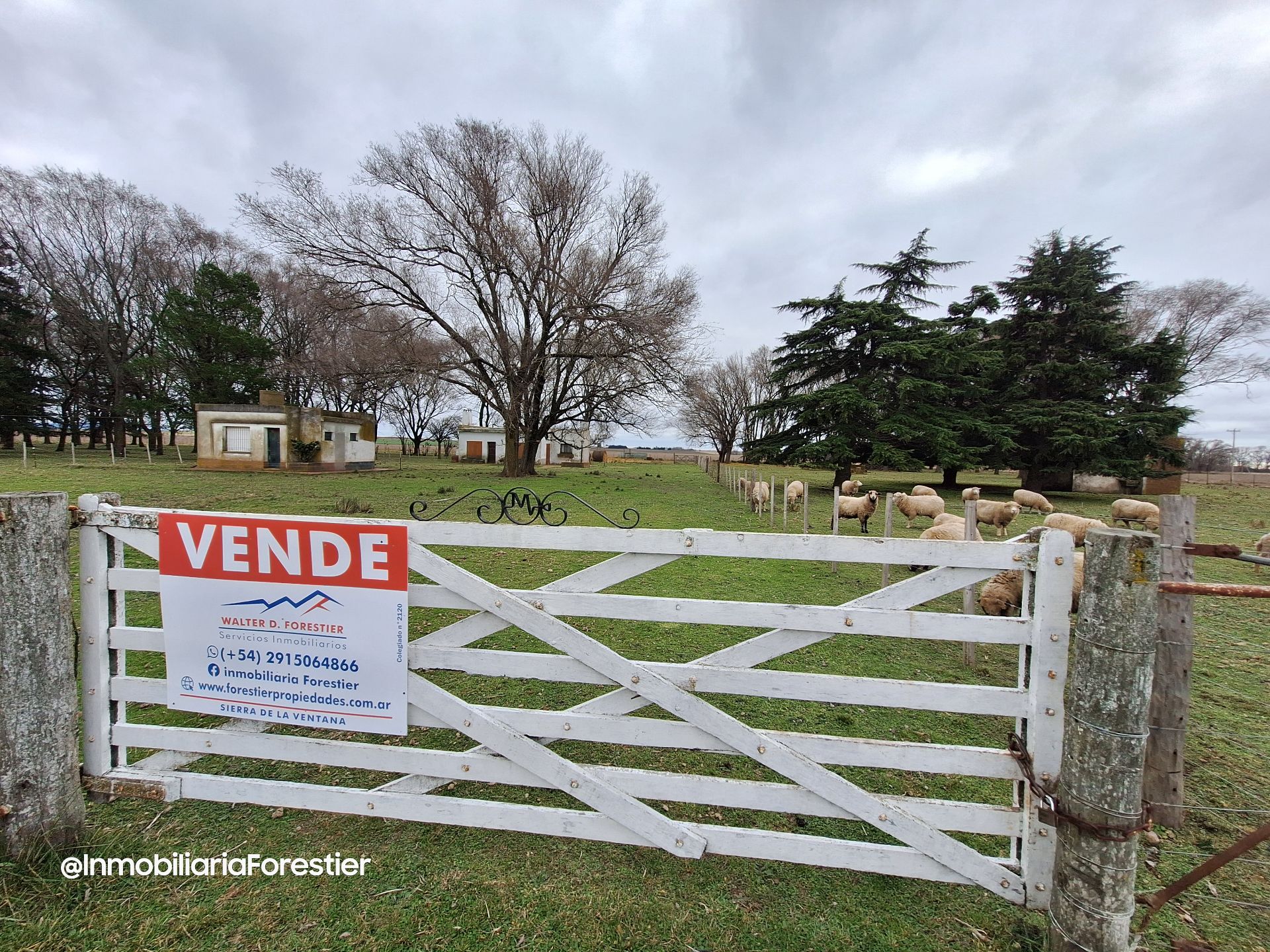Quinta en Venta   Coronel Suarez - Bahía Blanca Propiedades | SITIO OFICIAL l