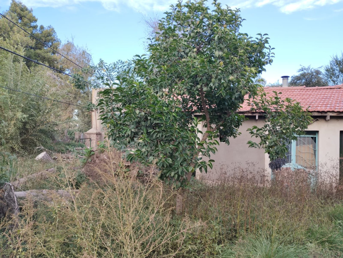 Terreno en Venta en Gualeguay Y Baigorria, San Miguel, Bahía Blanca - Bahía Blanca Propiedades | SITIO OFICIAL l
