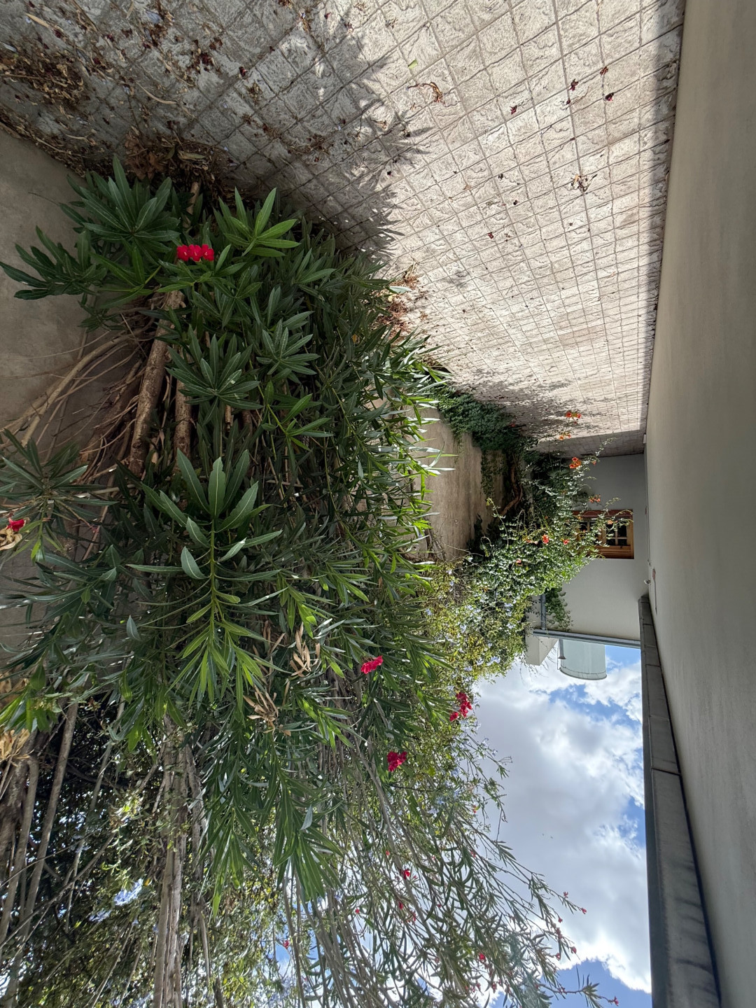 Casa en Venta en Agustín Álvarez 2176, Santa Margarita, Bahía Blanca - Bahía Blanca Propiedades | SITIO OFICIAL l