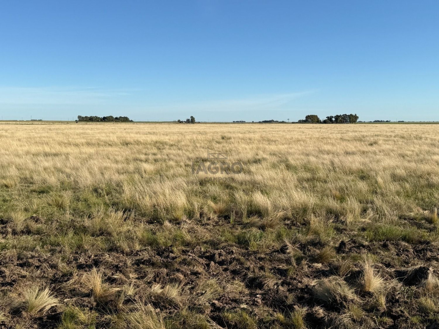 Campo  en Venta en Bajo Hondo,  Bajo Hondo - Bahía Blanca Propiedades | SITIO OFICIAL l