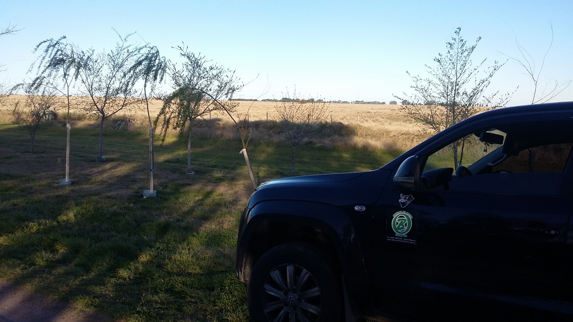 Campo  en Venta en Villa Iris - Pcia. Bs. Aires,  Villa Iris - Bahía Blanca Propiedades | SITIO OFICIAL l