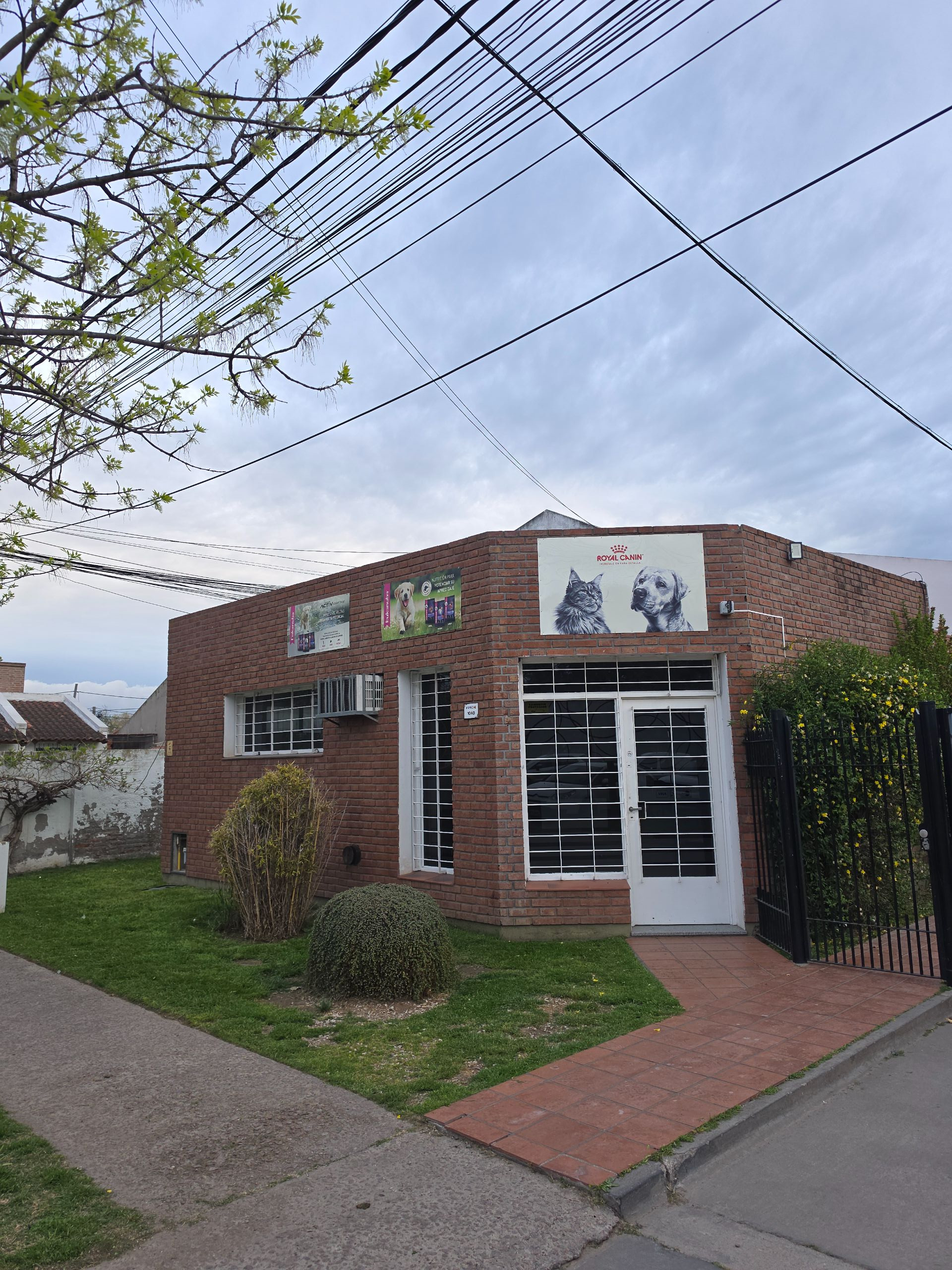 Local en Alquiler en Espeche 1040,  Bahía Blanca - Bahía Blanca Propiedades | SITIO OFICIAL l
