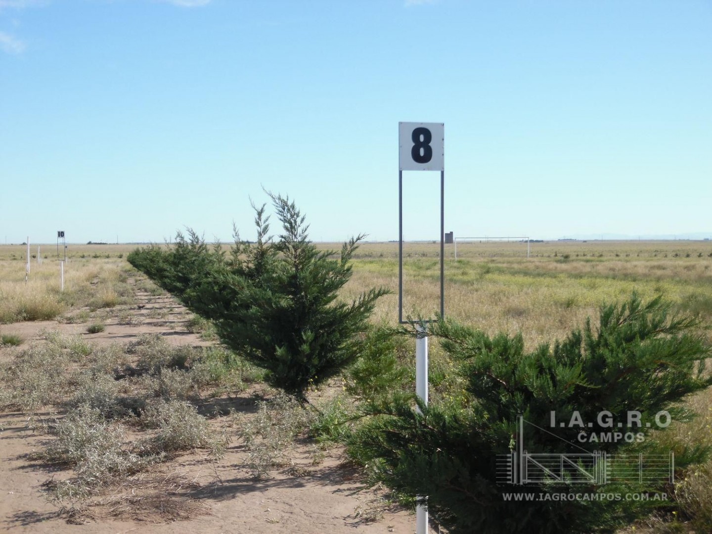 Campo  en Venta en Ruta 3,  Bahía Blanca - Bahía Blanca Propiedades | SITIO OFICIAL l