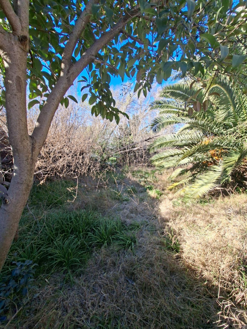 Casa en Venta en Moreno 450,  General Cerri - Bahía Blanca Propiedades | SITIO OFICIAL l