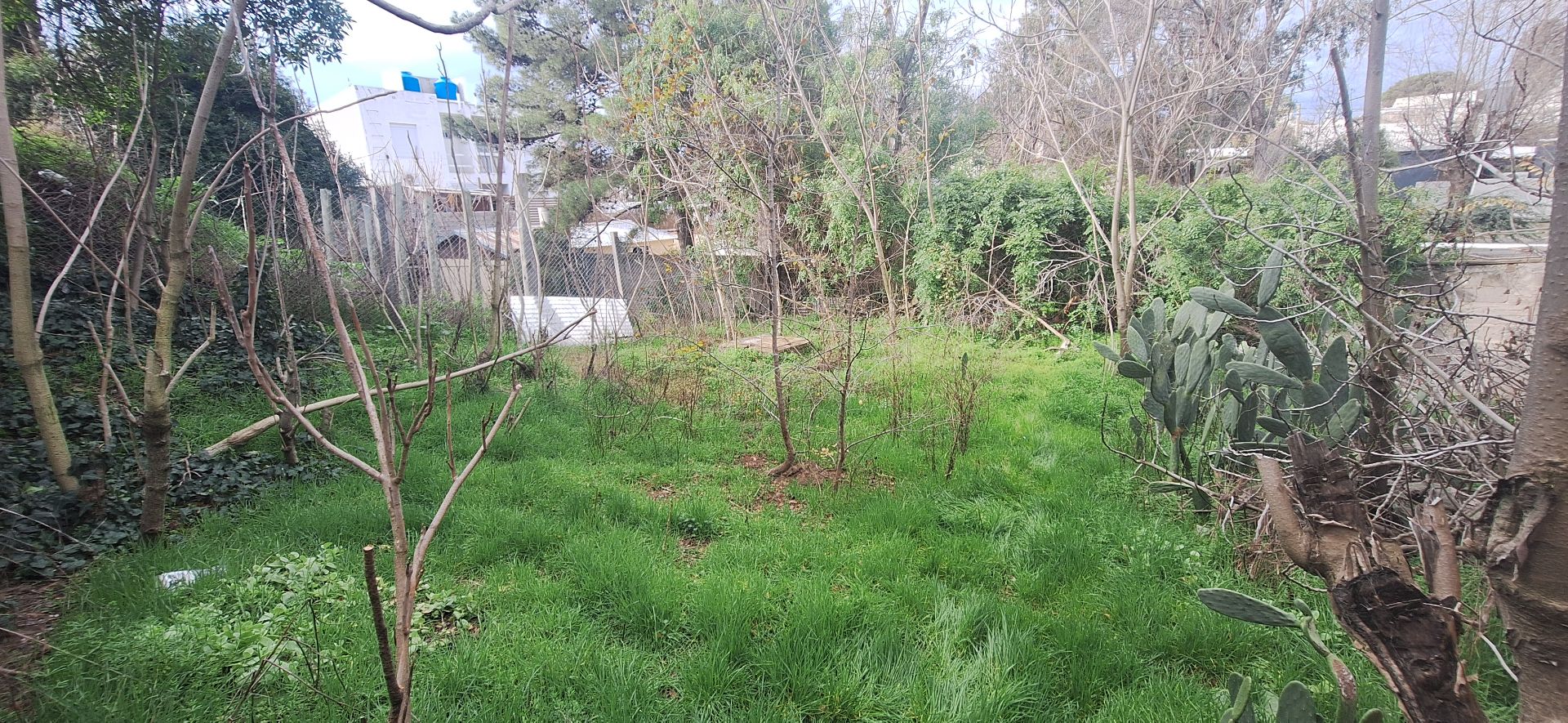 Casa en Venta en Gregorio Juarez 555, Centro, Monte Hermoso - Bahía Blanca Propiedades | SITIO OFICIAL l