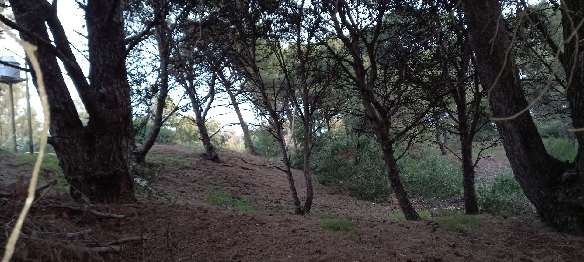 Terreno en Venta en Saclantas 325, El Sauce, Monte Hermoso - Bahía Blanca Propiedades | SITIO OFICIAL l