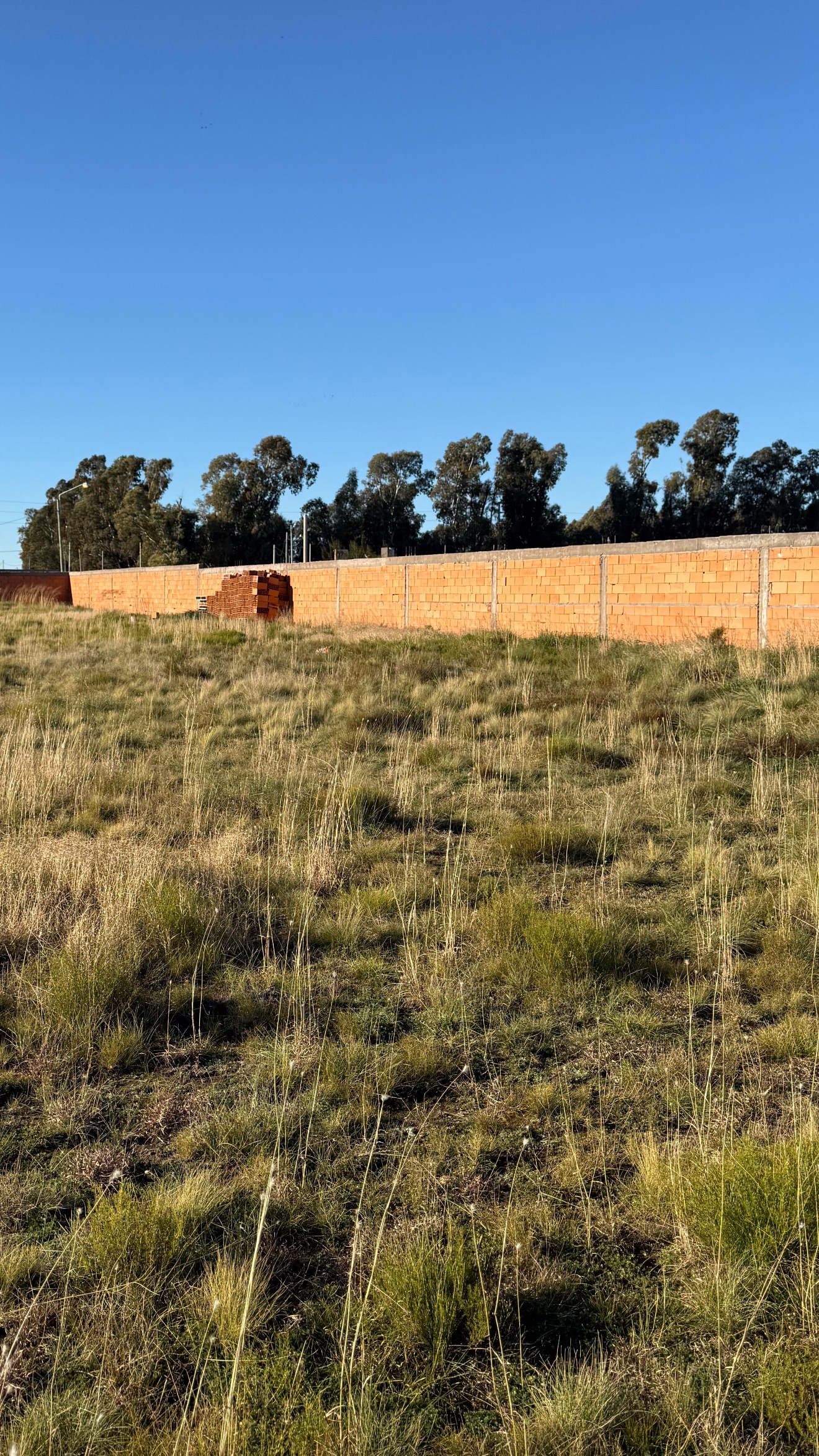Terreno en Venta en Avellaneda 3700 ,  Bahía Blanca - Bahía Blanca Propiedades | SITIO OFICIAL l