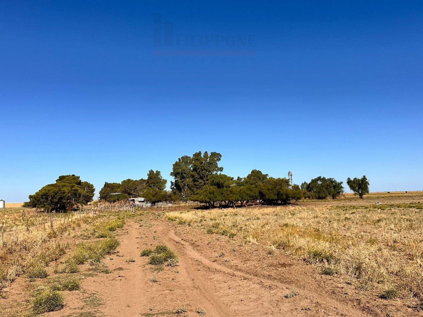 Campo  en Venta en Ruta 35,  Bahía Blanca - Bahía Blanca Propiedades | SITIO OFICIAL l