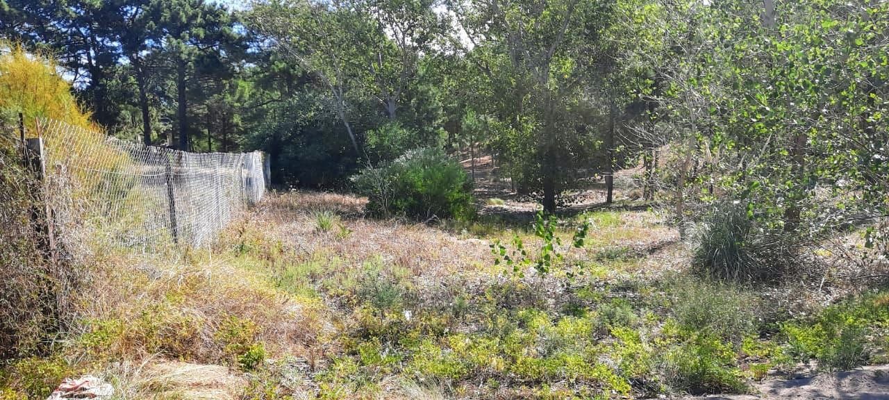 Terreno en Venta en Pinar Del Golf,  Monte Hermoso - Bahía Blanca Propiedades | SITIO OFICIAL l