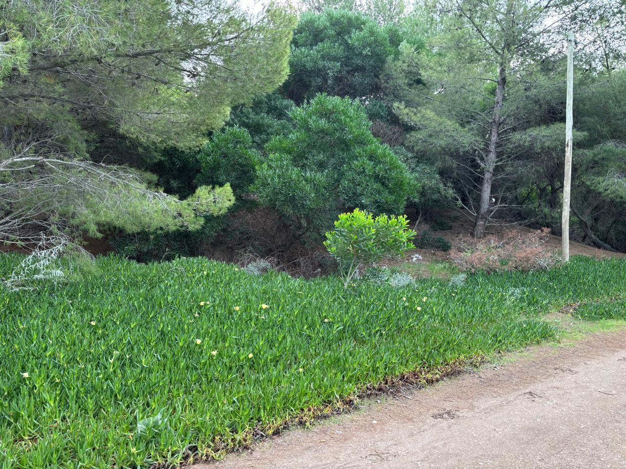 Terreno en Venta en Del Covento Y Mar Del Tuyu, El Sauce, Monte Hermoso - Bahía Blanca Propiedades | SITIO OFICIAL l