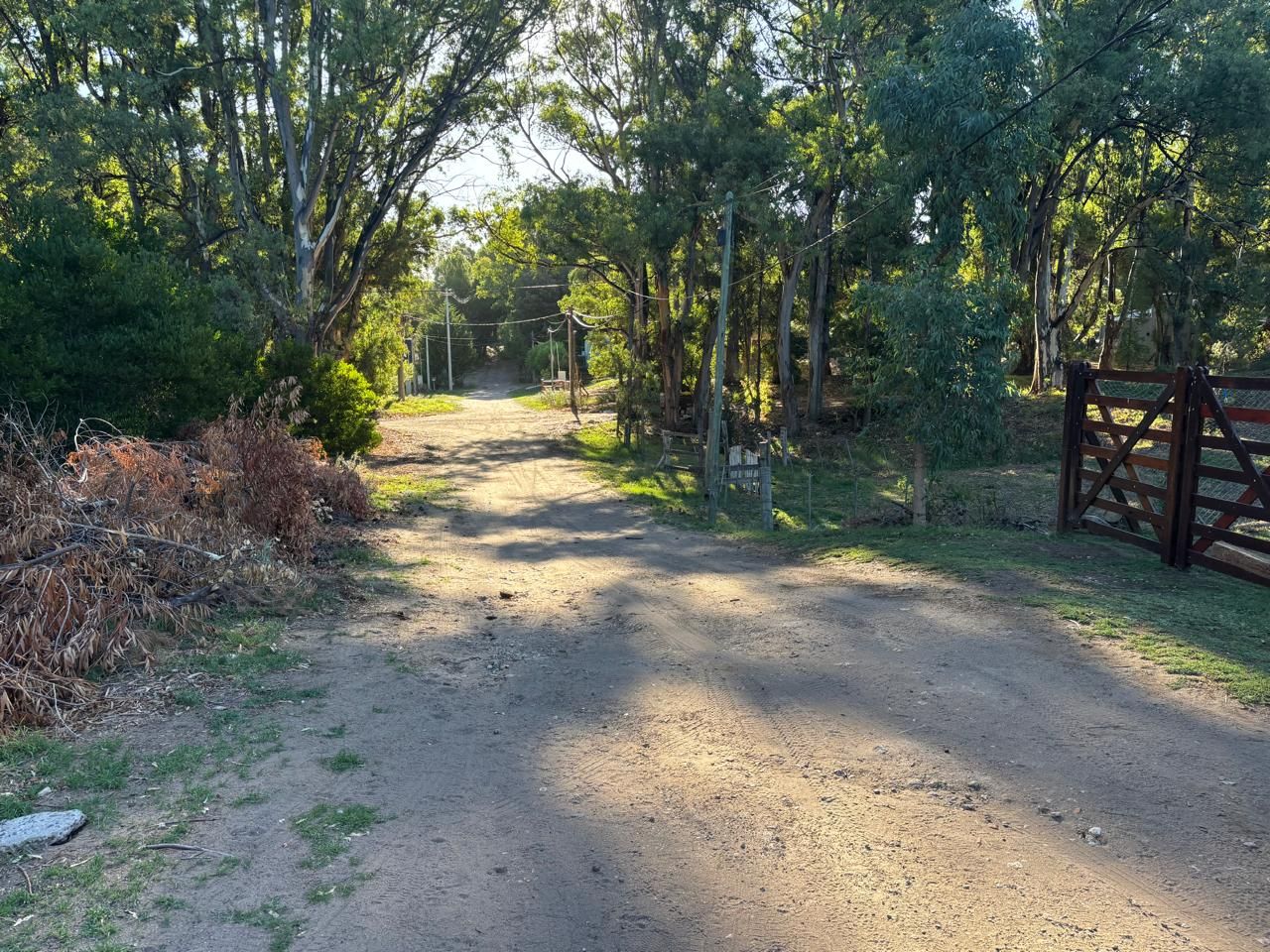 Terreno en Venta en Punta Mogotes Y Mar Del Sur, El Sauce, Monte Hermoso - Bahía Blanca Propiedades | SITIO OFICIAL l