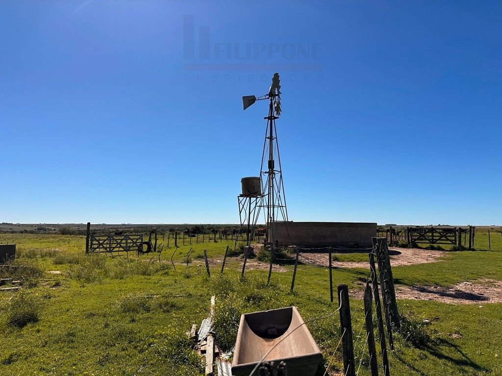 Campo  en Venta en Ruta 35 - Bahía Blanca Propiedades | SITIO OFICIAL l