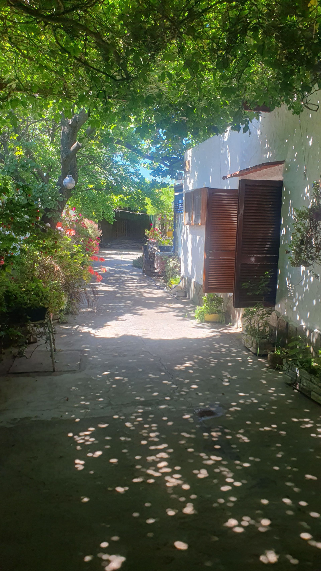 Casa en Venta en Tarapaca 1844, Villa Rosas, Bahía Blanca - Bahía Blanca Propiedades | SITIO OFICIAL l