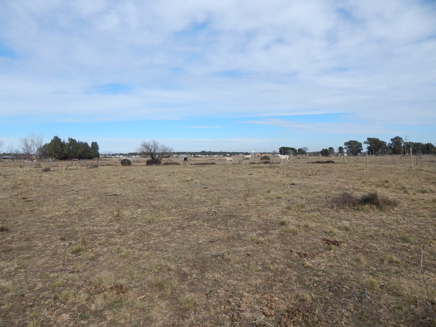 Terreno en Venta  Aldea Romana, Bahía Blanca - Bahía Blanca Propiedades | SITIO OFICIAL l