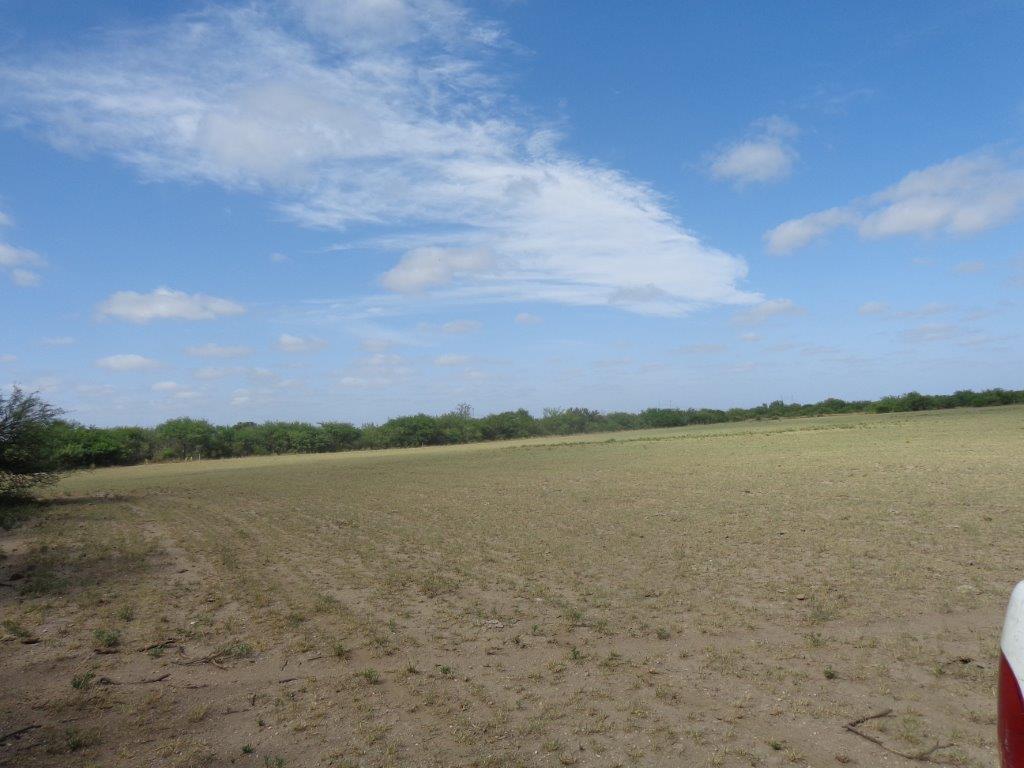 Campo  en Venta en Algarrobo Buenos Aires,  Algarrobo - Bahía Blanca Propiedades | SITIO OFICIAL l