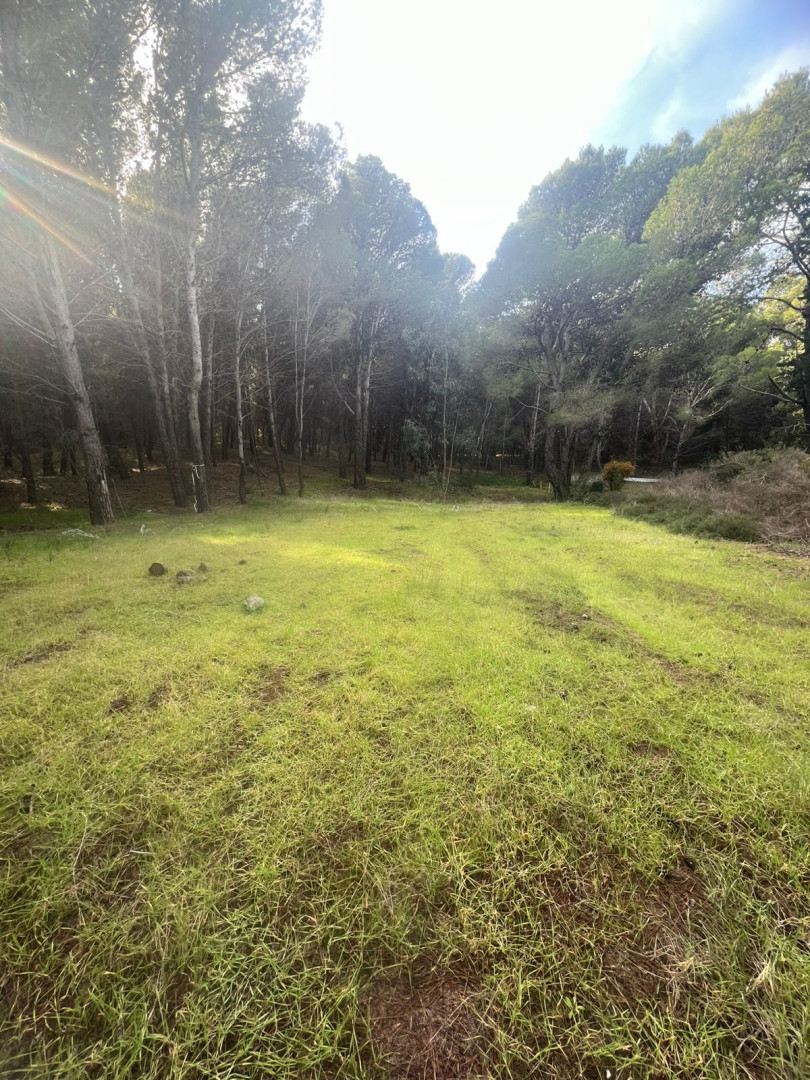 Terreno en Venta en Walich 50,  Pehuen Co - Bahía Blanca Propiedades | SITIO OFICIAL l