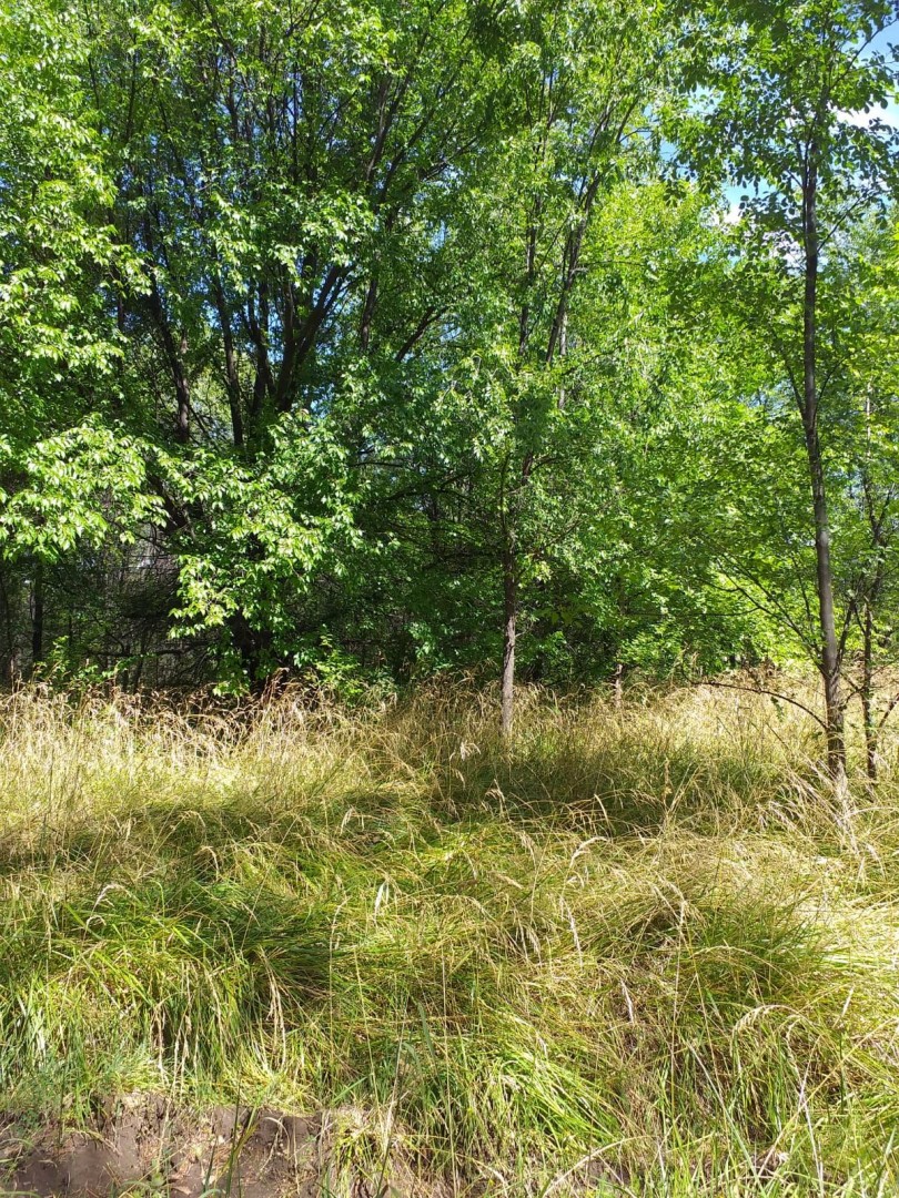 Terreno en Venta en Colibri,  Tornquist - Bahía Blanca Propiedades | SITIO OFICIAL l