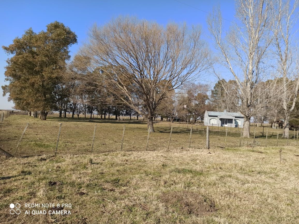 Campo  en Venta - Bahía Blanca Propiedades | SITIO OFICIAL l