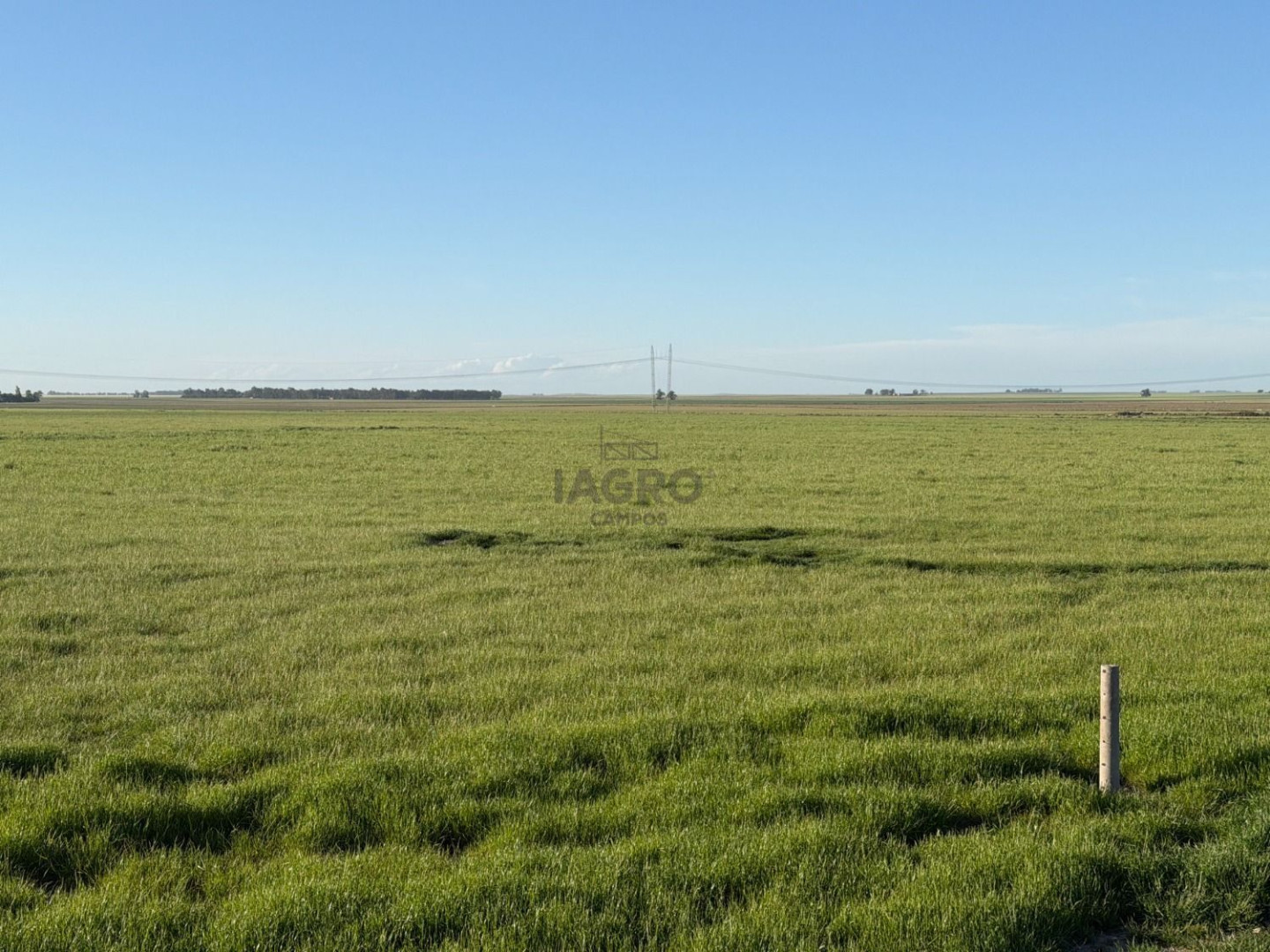 Campo  en Venta en Coronel Dorrego,  Coronel Dorrego - Bahía Blanca Propiedades | SITIO OFICIAL l