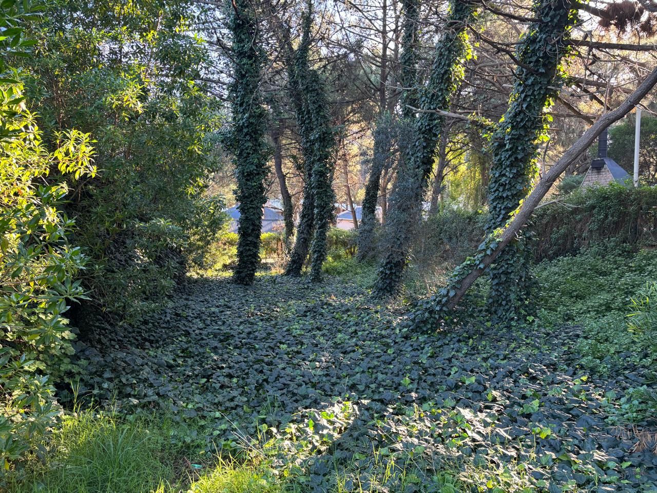 Terreno en Venta en Del Tiburon 355, Las Dunas, Monte Hermoso - Bahía Blanca Propiedades | SITIO OFICIAL l