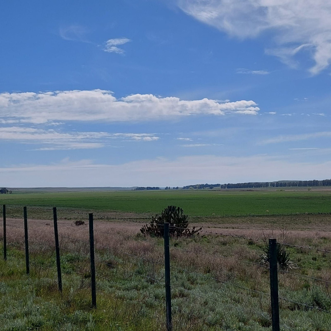 Campo  en Alquiler en Ruta 35, Km 44,  Tornquist - Bahía Blanca Propiedades | SITIO OFICIAL l