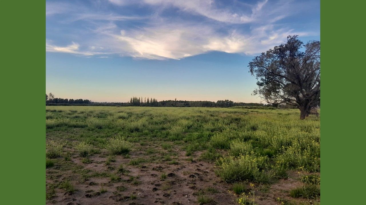 Terreno en Venta en Ramon Y Cajal 5200, Aldea Romana, Bahía Blanca - Bahía Blanca Propiedades | SITIO OFICIAL l