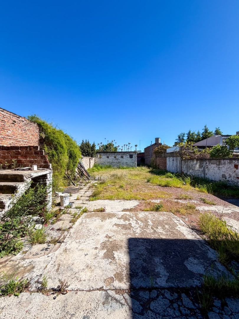 Local en Alquiler en Necochea 260,  Bahía Blanca - Bahía Blanca Propiedades | SITIO OFICIAL l