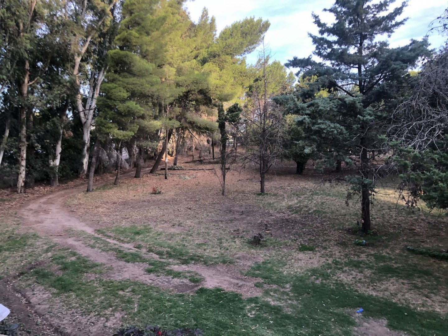 Terreno en Venta en Sesquicentenario Y Cabrera, Sesquicentenario, Bahía Blanca - Bahía Blanca Propiedades | SITIO OFICIAL l