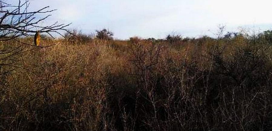 Terreno en Venta en Las Vertientes,  Córdoba - Bahía Blanca Propiedades | SITIO OFICIAL l
