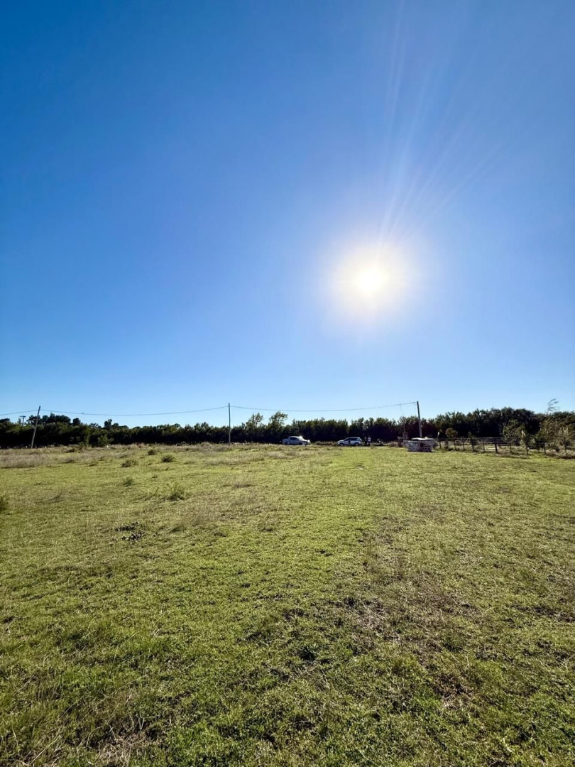 Terreno en Venta en Luis Vera 670, Carrindanga, Bahía Blanca - Bahía Blanca Propiedades | SITIO OFICIAL l