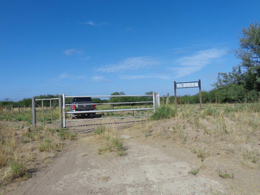 Campo  en Venta en Algarrobo Buenos Aires,  Algarrobo - Bahía Blanca Propiedades | SITIO OFICIAL l