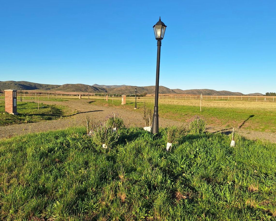 Terreno en Venta en Las Verbenas, Las Verbenas , Sierra de  la Ventana - Bahía Blanca Propiedades | SITIO OFICIAL l