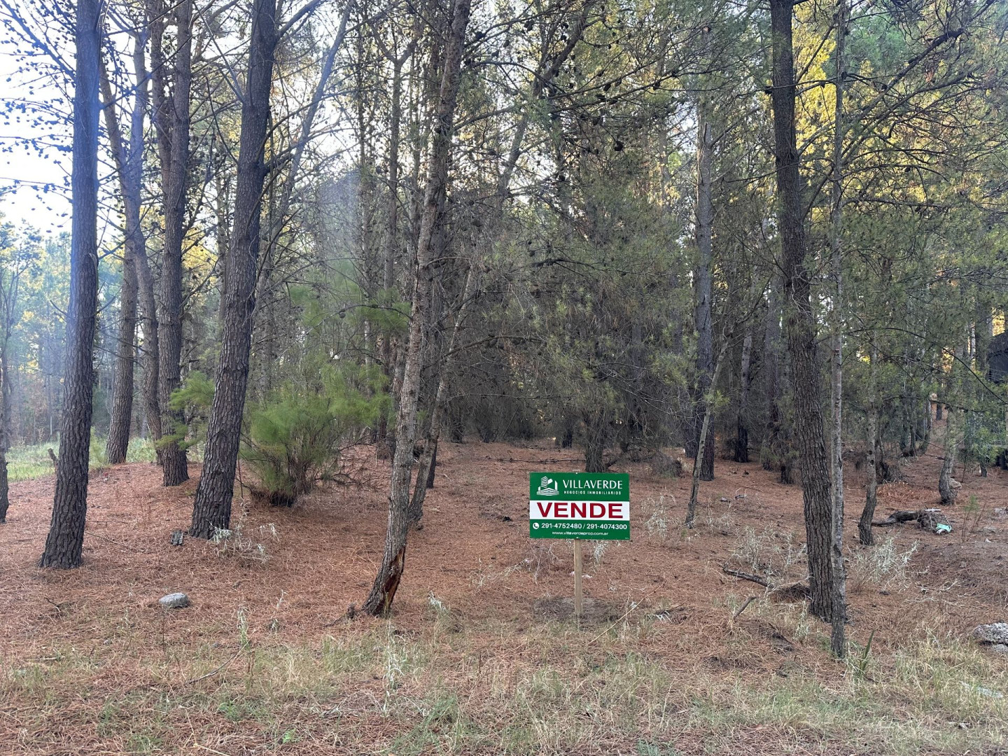 Terreno en Venta en El Gavilan , Pinar del Golf, Monte Hermoso - Bahía Blanca Propiedades | SITIO OFICIAL l