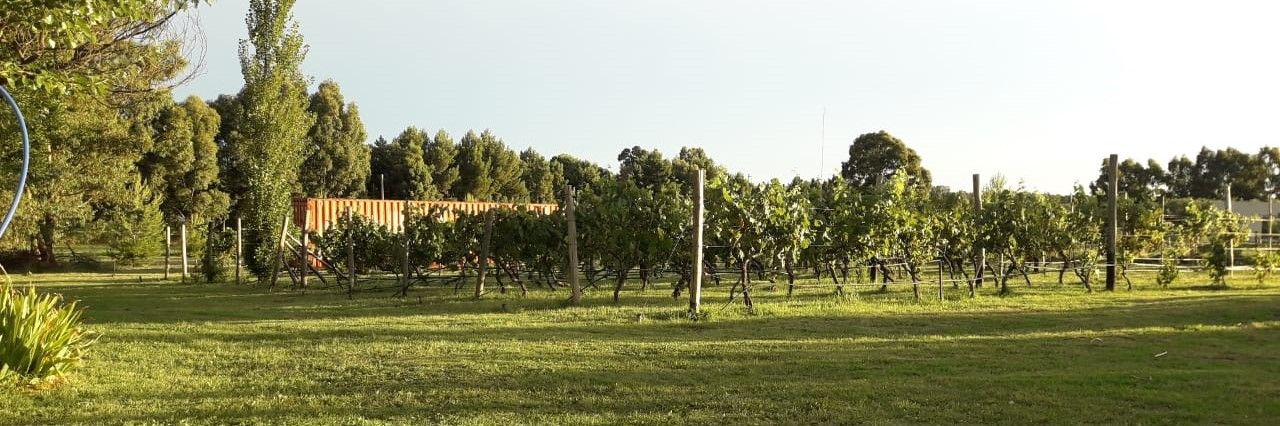 Terreno en Venta en Ciudad De Cali Y La Rastrillada,  Bahía Blanca - Bahía Blanca Propiedades | SITIO OFICIAL l