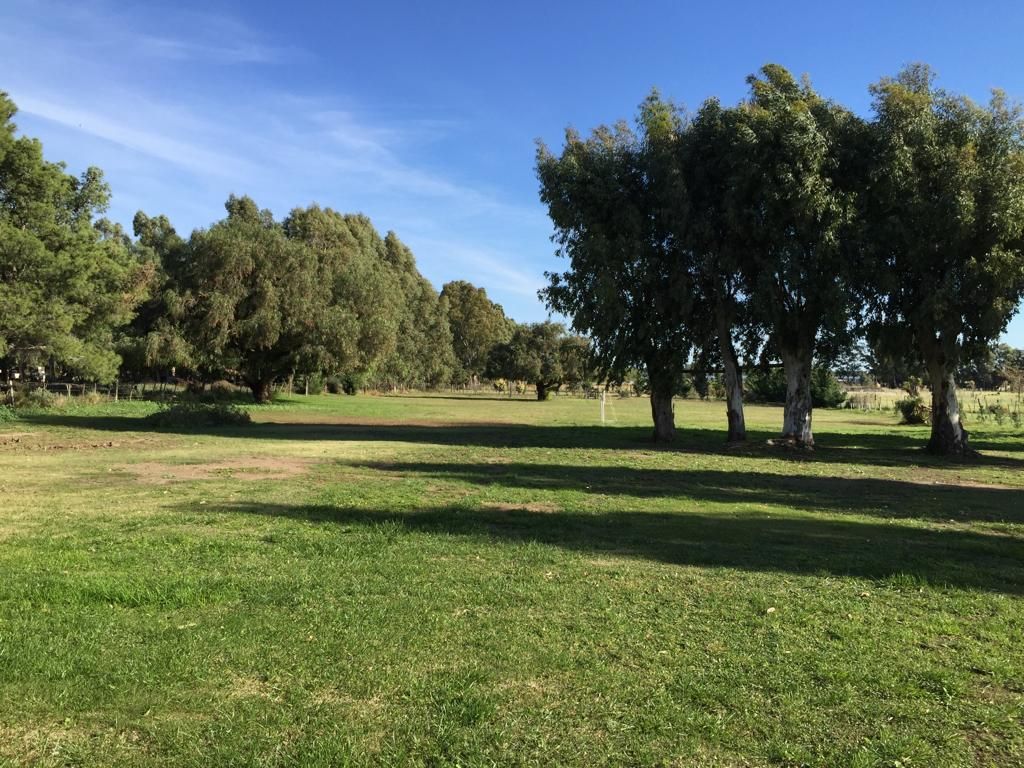 Casaquinta en Venta  Aldea Romana, Bahía Blanca - Bahía Blanca Propiedades | SITIO OFICIAL l