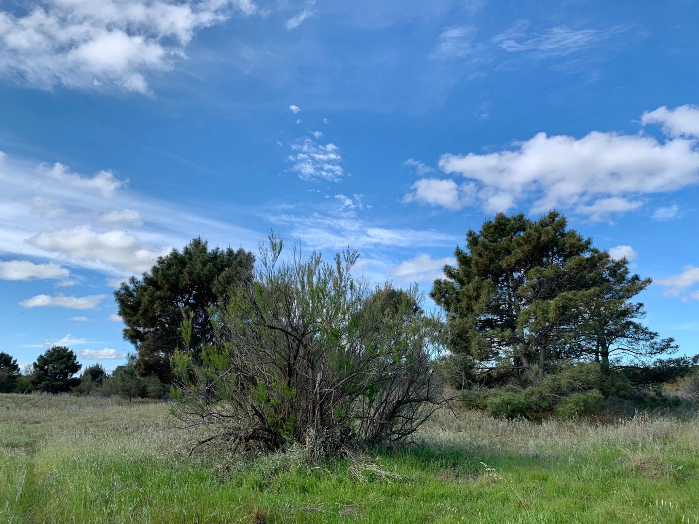 Terreno en Venta en Los Zorzales Y Flamencos, Monte del Este, Monte Hermoso - Bahía Blanca Propiedades | SITIO OFICIAL l