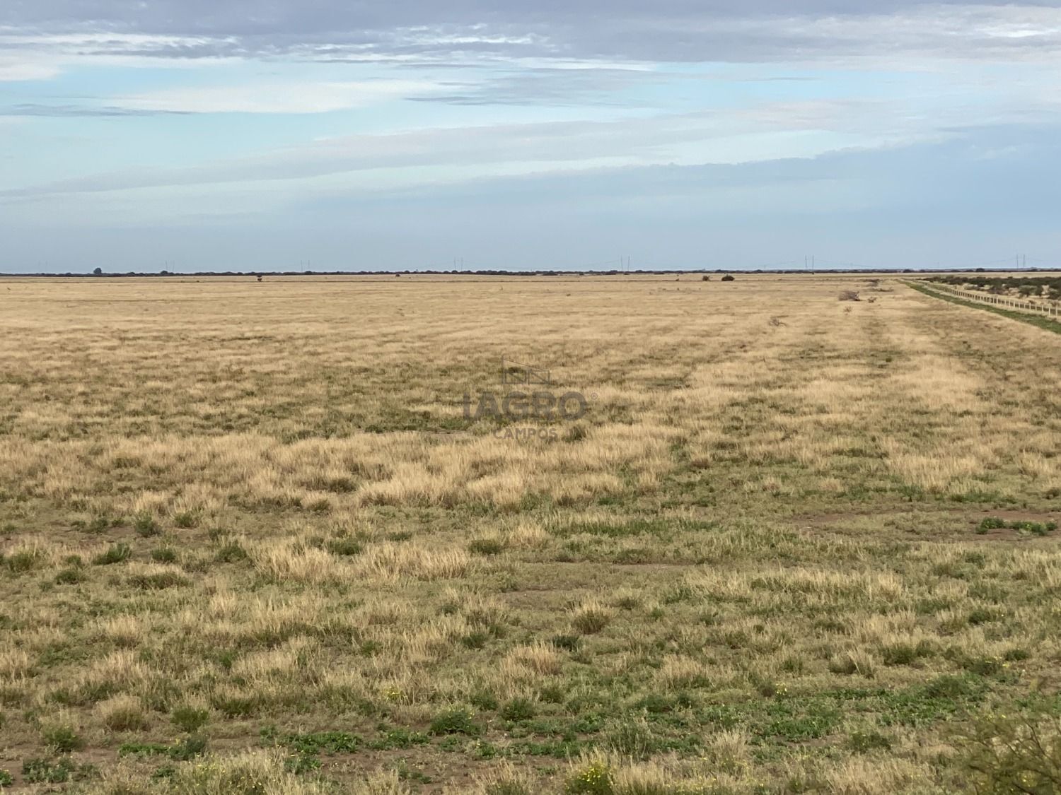 Campo  en Venta en Puan,  Puan - Bahía Blanca Propiedades | SITIO OFICIAL l