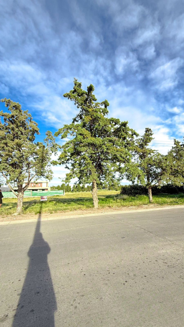 Terreno en Venta en Rodolfo Kusch, Las Perdices , Bahía Blanca - Bahía Blanca Propiedades | SITIO OFICIAL l