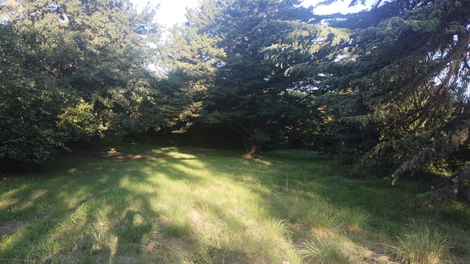 Terreno en Venta  Parque Golf, Sierra de  la Ventana - Bahía Blanca Propiedades | SITIO OFICIAL l