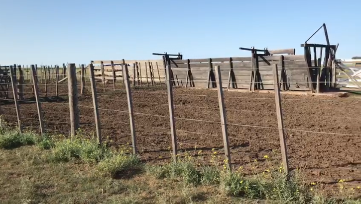 Campo  en Venta   Puan - Bahía Blanca Propiedades | SITIO OFICIAL l