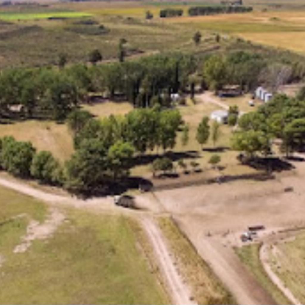 Campo  en Venta   Pedro Luro - Bahía Blanca Propiedades | SITIO OFICIAL l