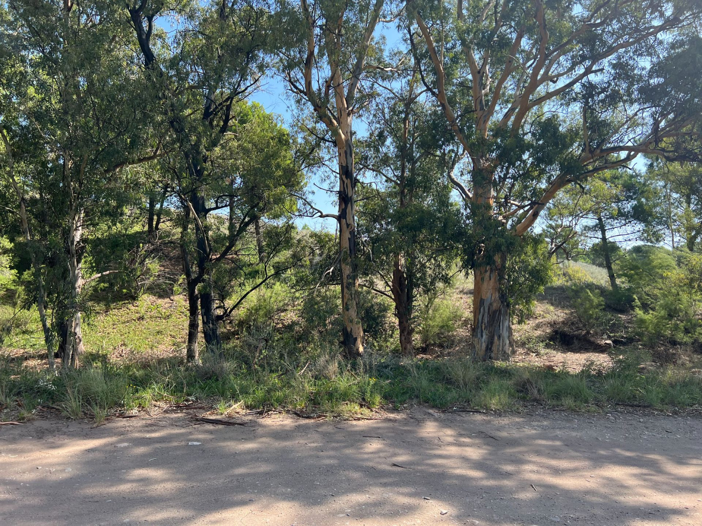Terreno en Venta en Calle 8,  Pehuen Co - Bahía Blanca Propiedades | SITIO OFICIAL l