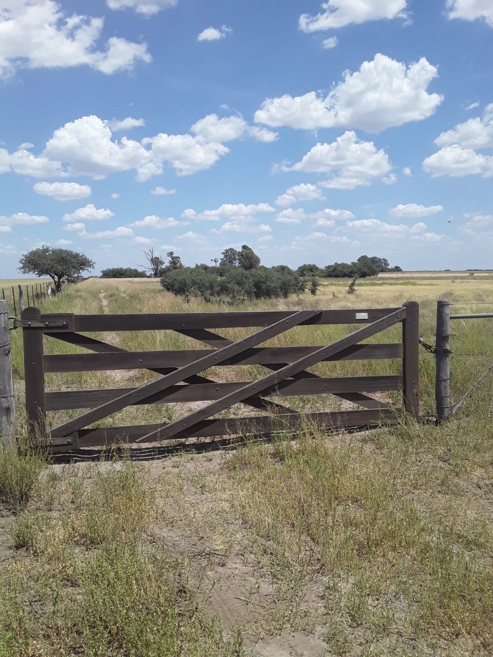 Campo  en Venta   Medanos - Bahía Blanca Propiedades | SITIO OFICIAL l