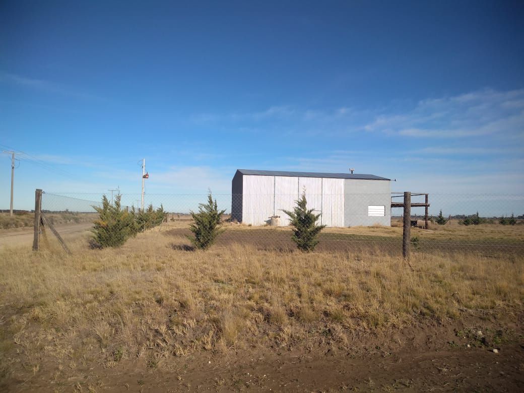 Terreno en Venta en Ruta 3 Km 594,  Coronel Dorrego - Bahía Blanca Propiedades | SITIO OFICIAL l