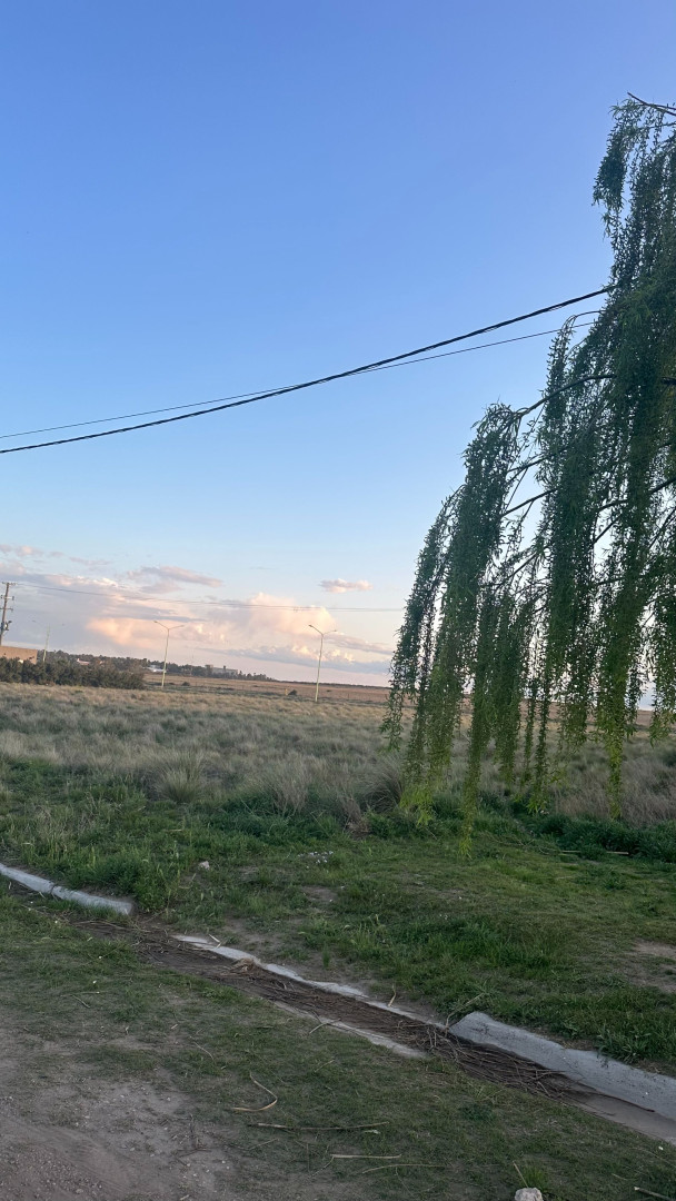 Terreno en Venta en Vera 2100, Los Muñecos, Bahía Blanca - Bahía Blanca Propiedades | SITIO OFICIAL l