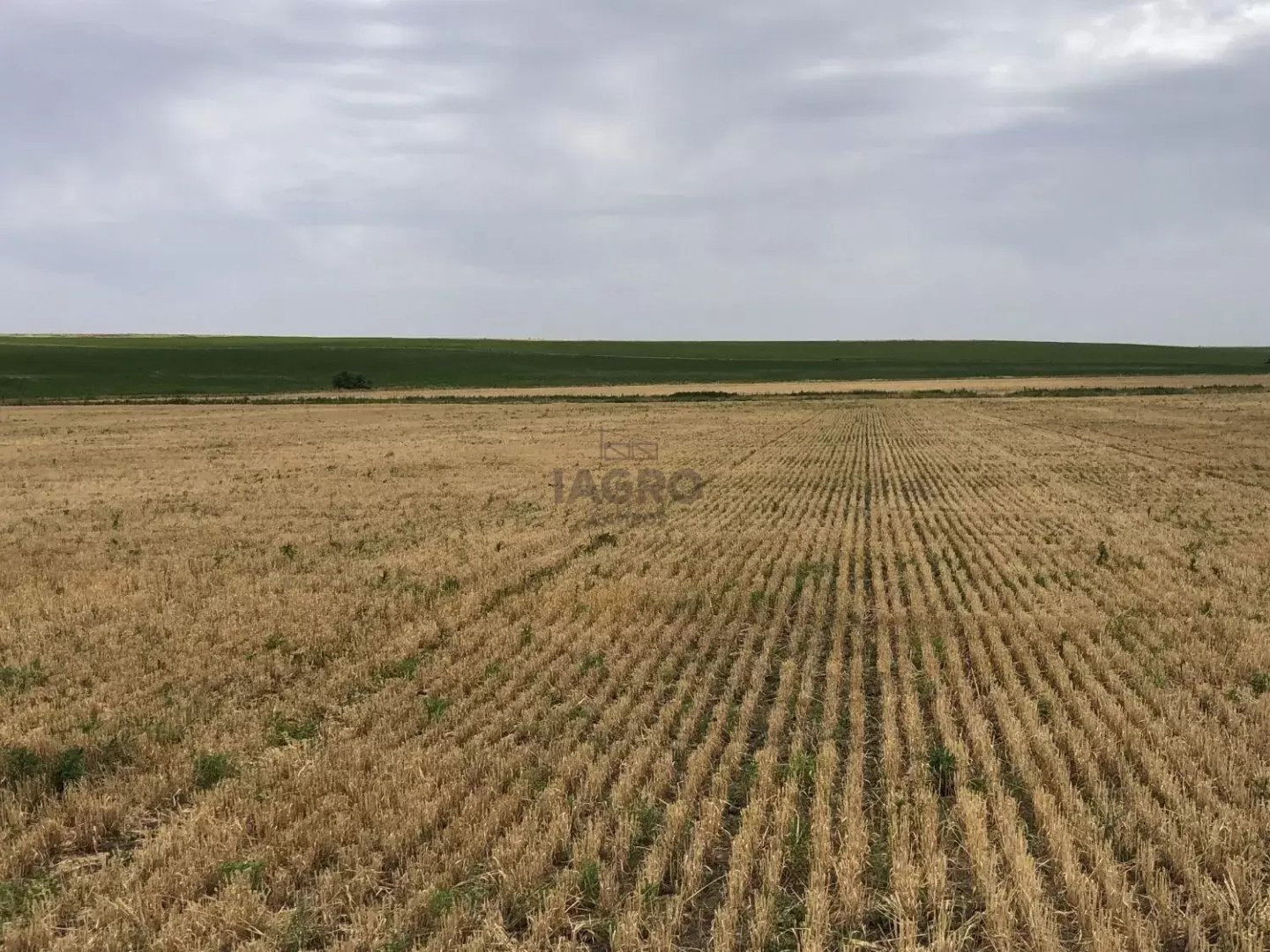 Campo  en Venta en Coronel Pringles,  Coronel Pringles - Bahía Blanca Propiedades | SITIO OFICIAL l