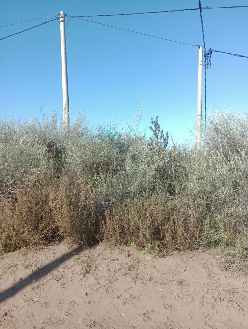 Terreno en Venta en  Formosa 1710,  Punta Alta - Bahía Blanca Propiedades | SITIO OFICIAL l