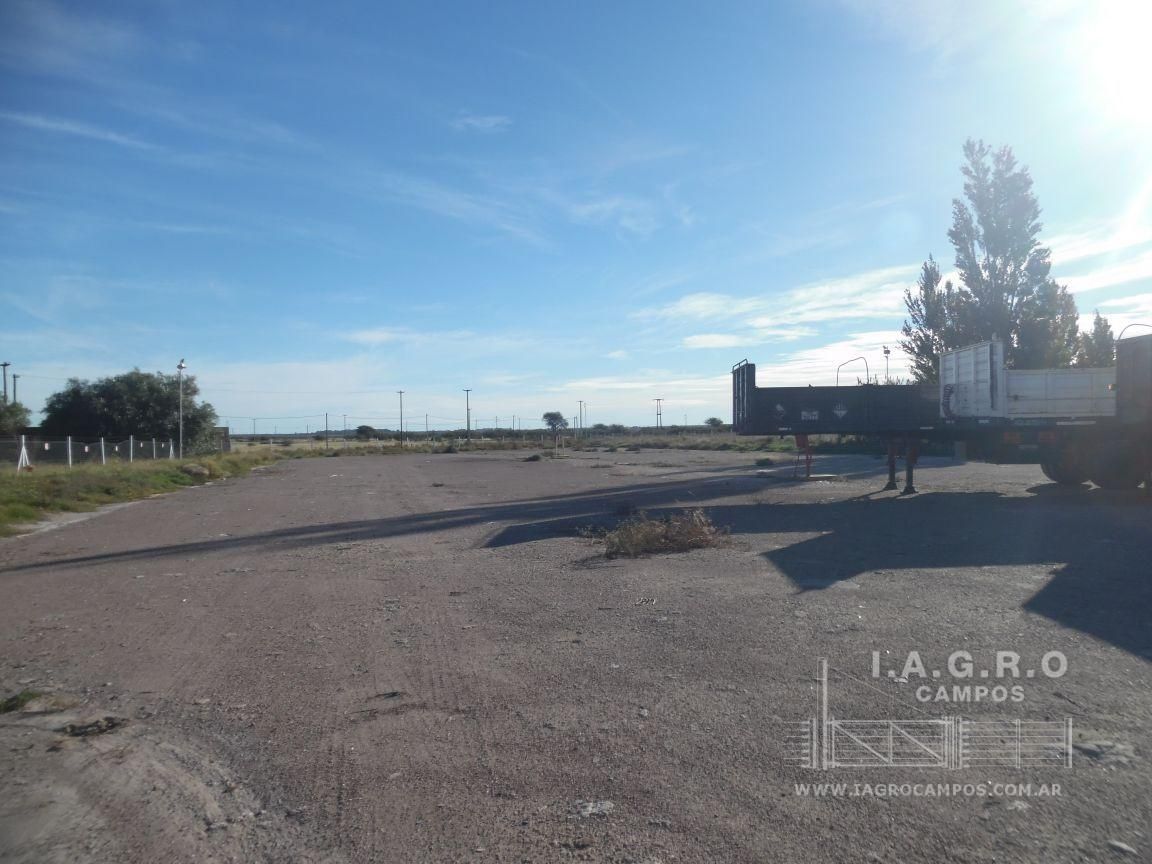 Terreno en Venta en Ruta Nacional 3 Sur Km 695,  Bahía Blanca - Bahía Blanca Propiedades | SITIO OFICIAL l