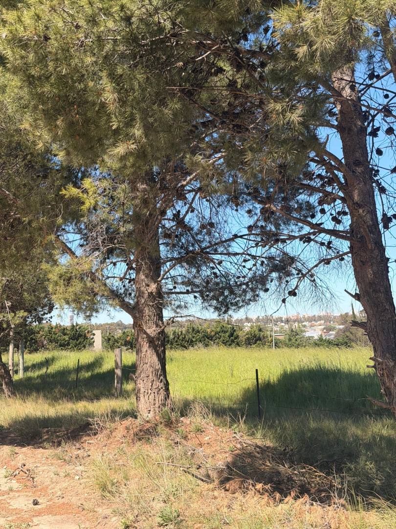 Terreno en Venta en Las Golondrinas Y Felipe Varela, San Carlos, Bahía Blanca - Bahía Blanca Propiedades | SITIO OFICIAL l