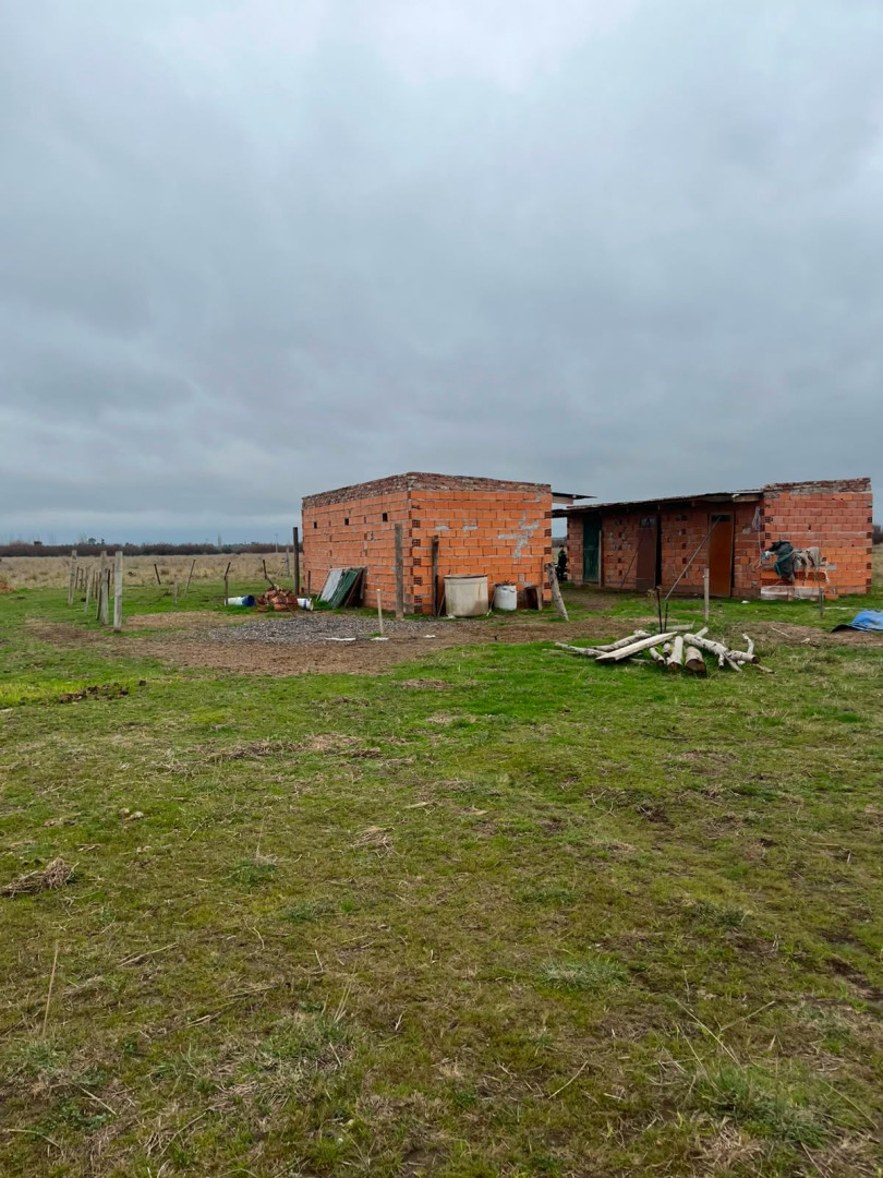 Campo  en Venta en Ruta 3 Klm 704,  Bahía Blanca - Bahía Blanca Propiedades | SITIO OFICIAL l